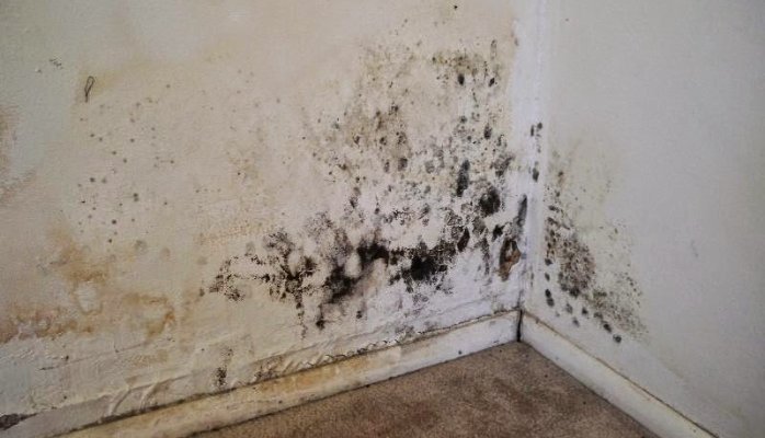 Damp damage on plaster